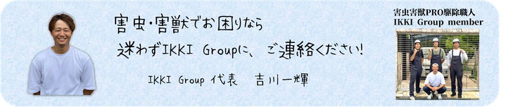 兵庫県,大阪府,京都府,奈良県,滋賀県の害獣・害虫駆除ならイッキグループ,代表吉川一輝