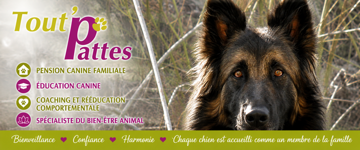 Tout'Pattes: pension canine familiale, cours d'éducation, comportementaliste canin.
