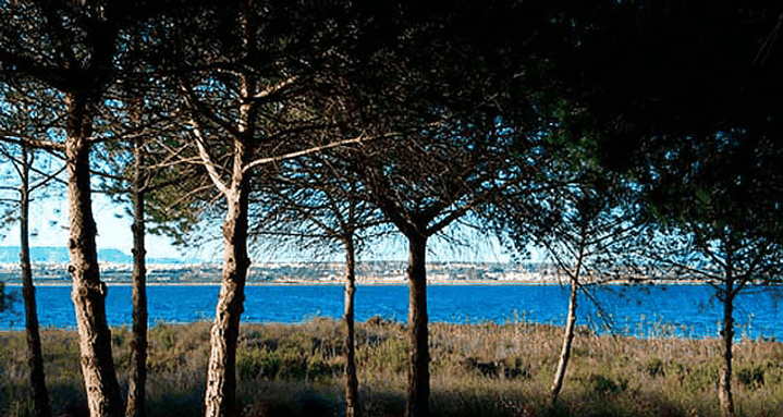 Laguna de La Mata: De color verdoso, alberga el Centro de Visitantes del parque. Es el lugar ideal para iniciar rutas de senderismo y observación de aves, como flamencos y cigüeñuelas.