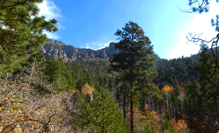 A view from the upper part of TWA Canyon Trail