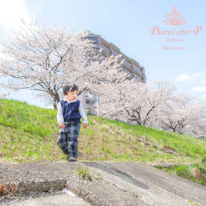 宮城仙台 秋田大館 出張写真撮影 スタジオのない写真館 ママ支援カメラマン小畑トモコ PhotoLabo+P フォトラボプラスP
