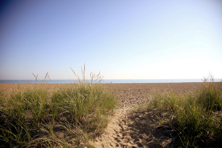 Rogers Park beach