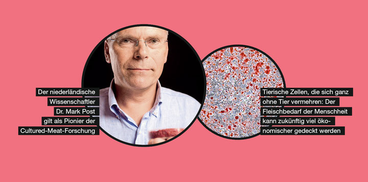 Cultured-Meat-Forschung: Dr. Mark Post