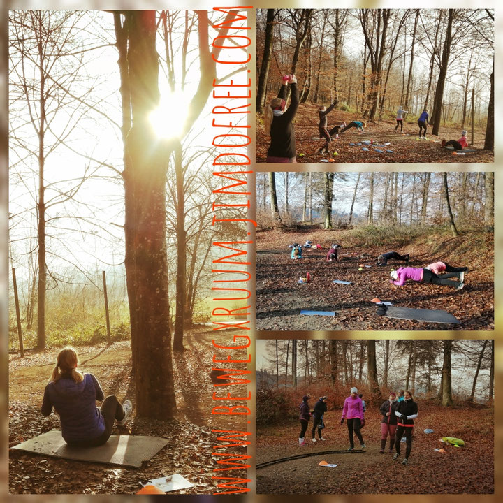 Circuit-Fit Bootcamp