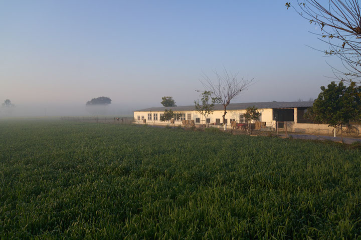 Punjab Februar 2025