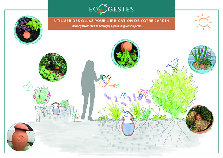 Comment mieux arroser son jardin : utiliser les ollas pour l'irrigation