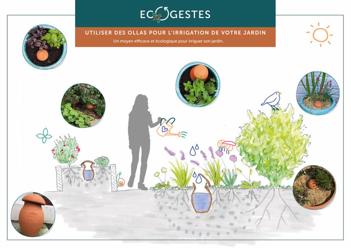 Comment mieux arroser son jardin : utiliser les ollas pour l'irrigation