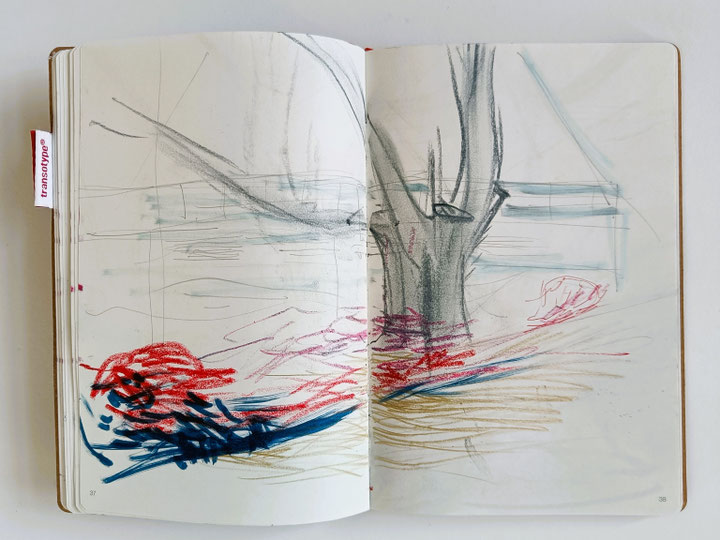 SKETCHBOOK 2024. Botanical Garden Dresden. Series of drawings with pencil, crayons & chalks