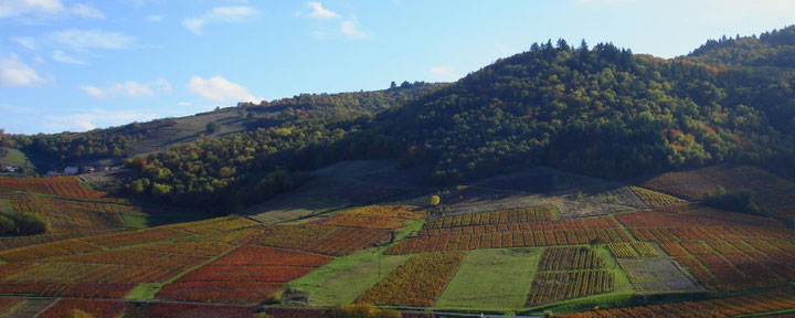 Vaux en Beaujolais