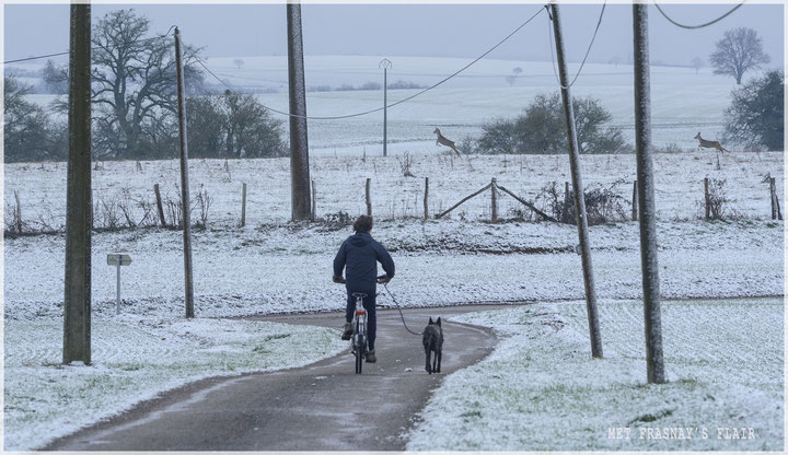 Jaap en Lars zijn net onderweg voor een r ondje fietsen... springen daar net een paar reeen voorbij... 