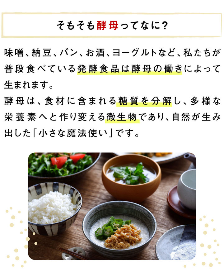 そもそも酵母ってなに？｜味噌、納豆、パン、お酒、ヨーグルトなど、私たちが普段食べている発酵食品は酵母の働きによって生まれます。 酵母は、食材に含まれる糖質を分解し、多様な栄養素へと作り変える微生物であり、自然が生み出した「小さな魔法使い」です。