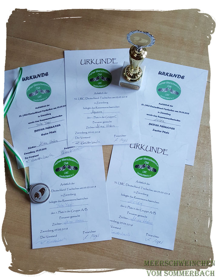 1. und 2. Platz "bestes Peruaner", 1. und 2. Platz "Peruaner Gemischt Gruppe A/B), 1. Platz "Peruaner gemischt Gruppe C"