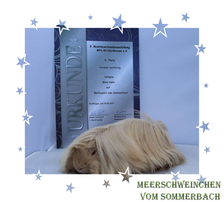 Methusalix vom Sommerbach 24.06.17