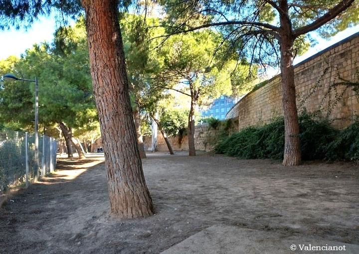 Uno de los muchos Parques Caninos que hay en los Jardines del Turia de Valencia.