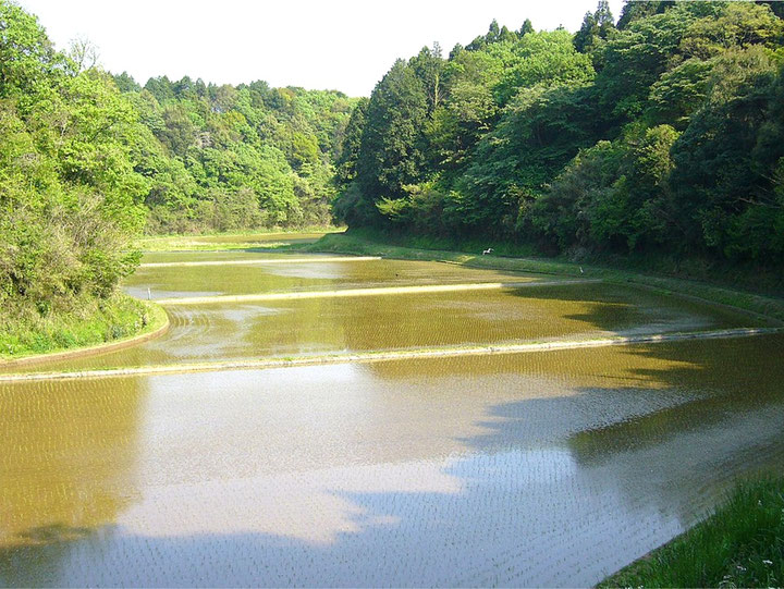 「谷戸」 ※https://ja.wikipedia.org/wiki/谷戸 より