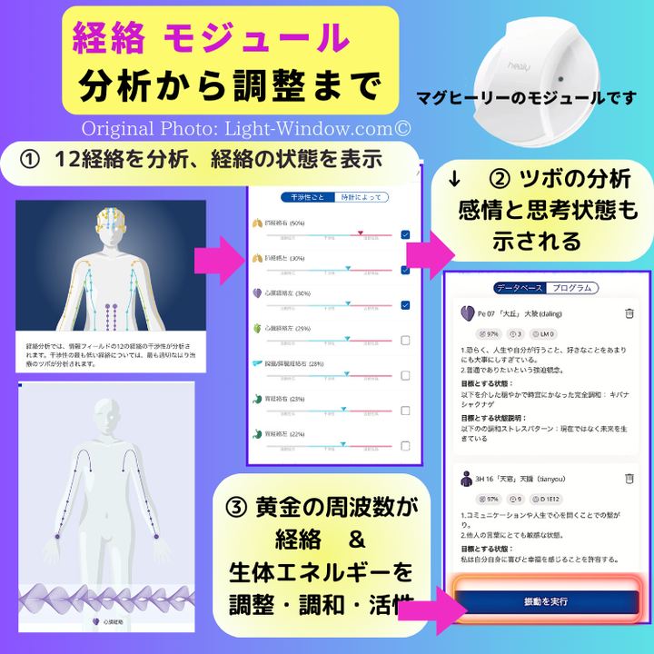 マグヒーリーで、伝統的な東洋医学12経絡の状態を分析し、調和の周波数を送り、整えます。