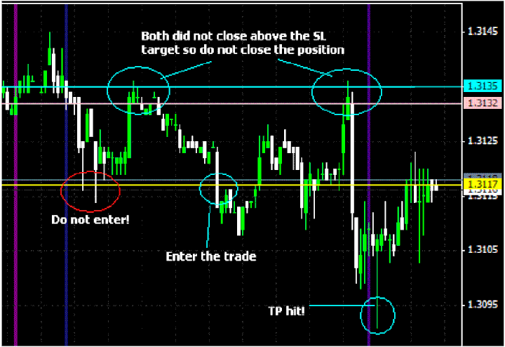 forex delphi scalper indicator trading system