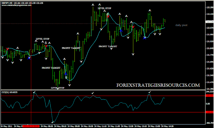 gann trader x trading system