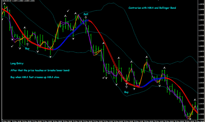 Forex Trading Signals