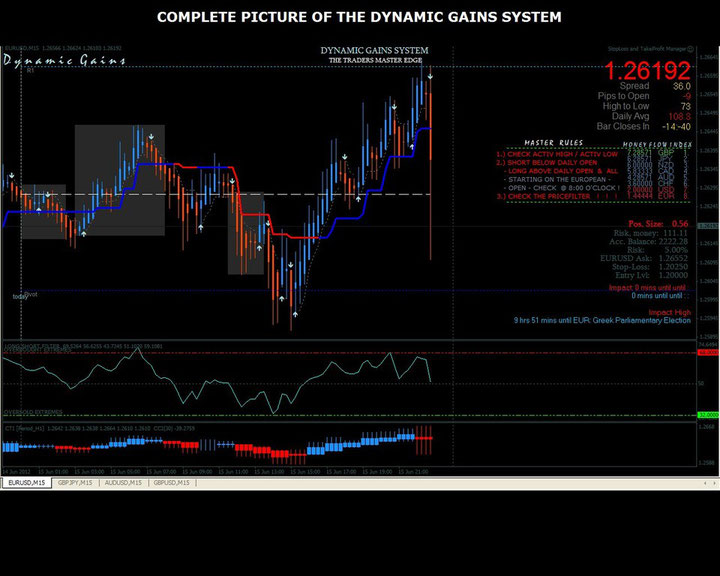 dynamic trading system ea