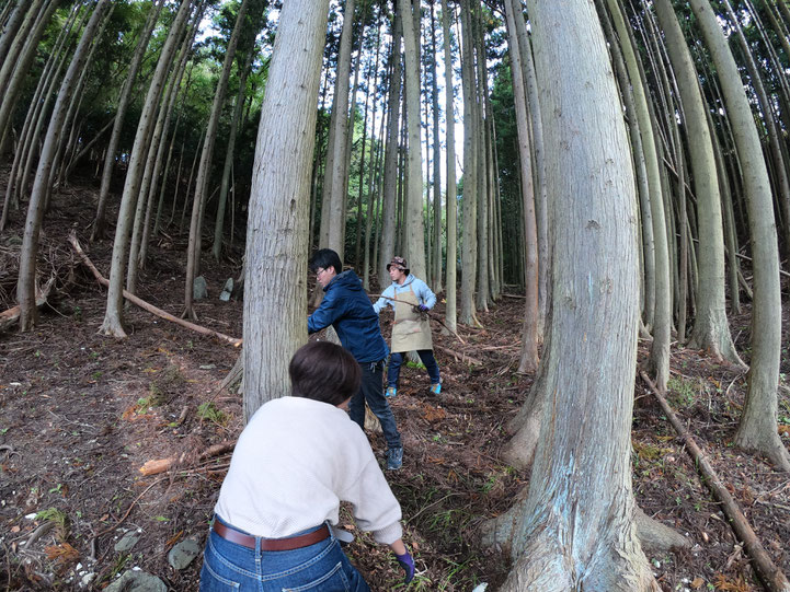 まずは積りに積もった杉の葉っぱや枝をどけます!朝から合流の2人。
