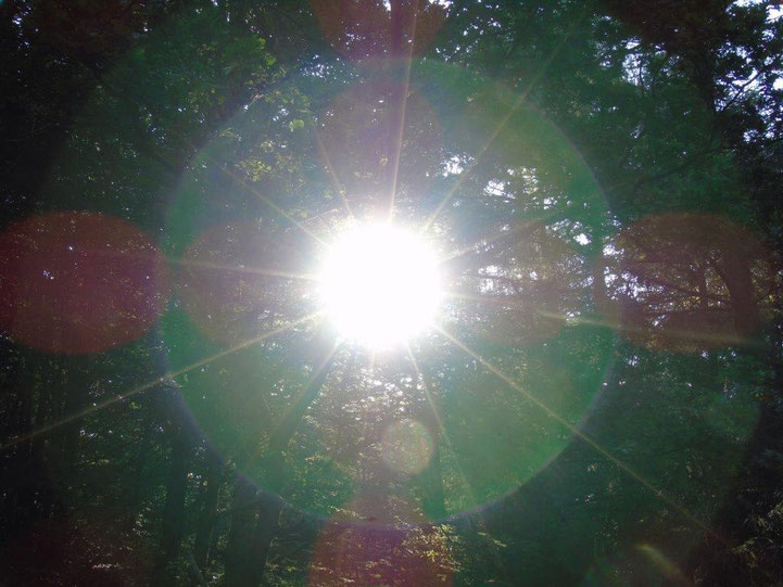 www.lichtwesenfotografie.com