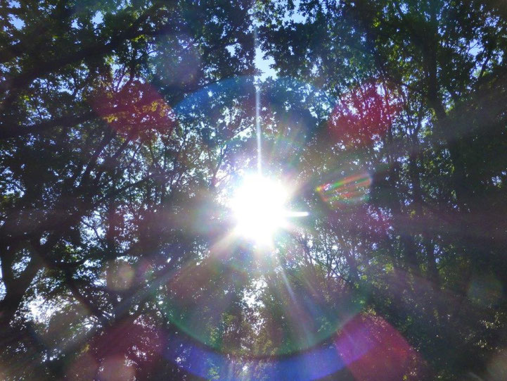www.lichtwesenfotografie.com