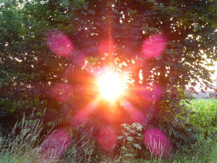 www.lichtwesenfotografie.com