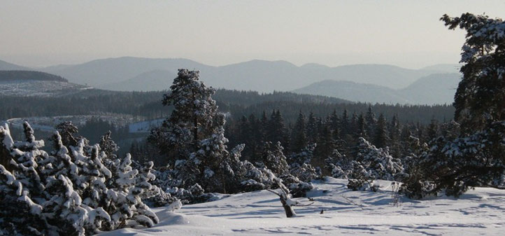 (Foto: Dr. G. Strobel)