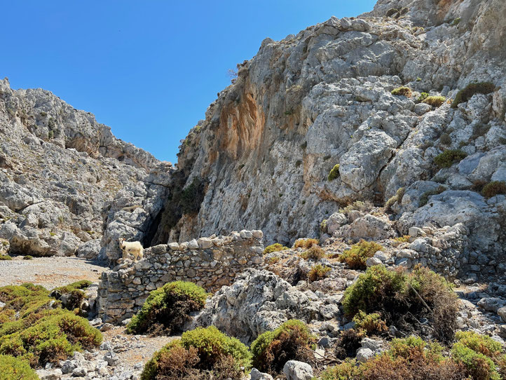 Klettern auf Kalymnos 2021