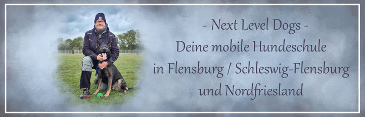 Next Level Dogs - Deine mobile Hundeschule