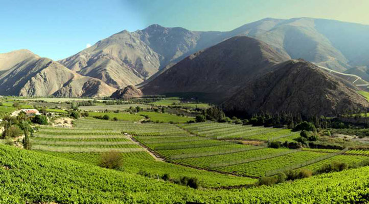 Pisco Elqui