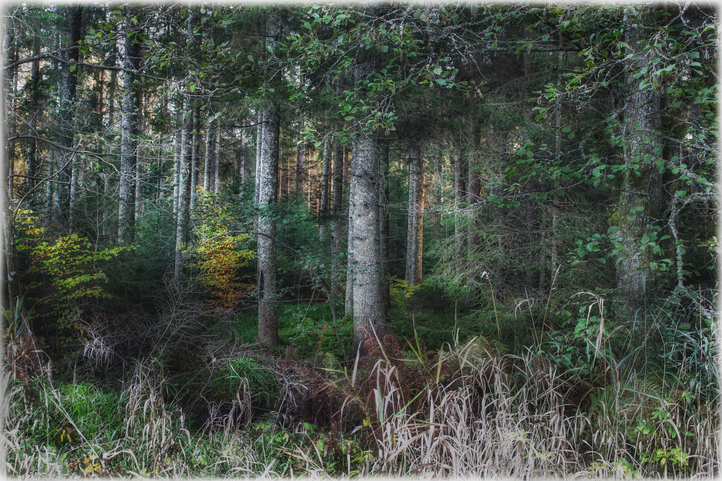 Herbstliche Stille