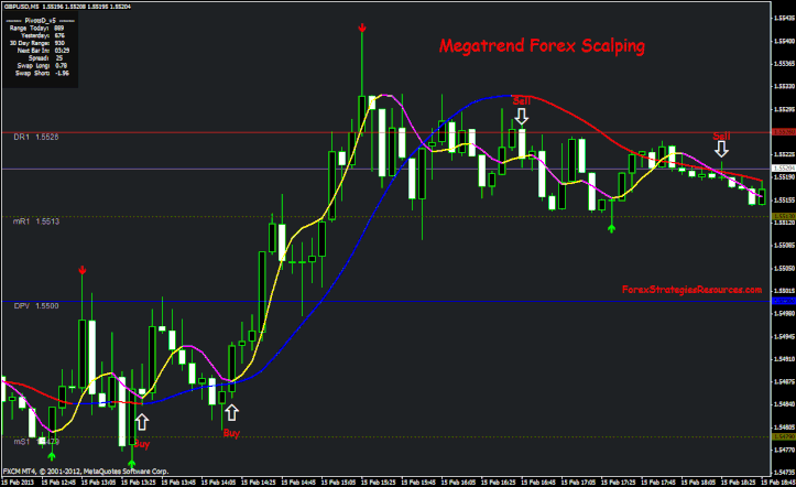 Megatrend Forex Scalping