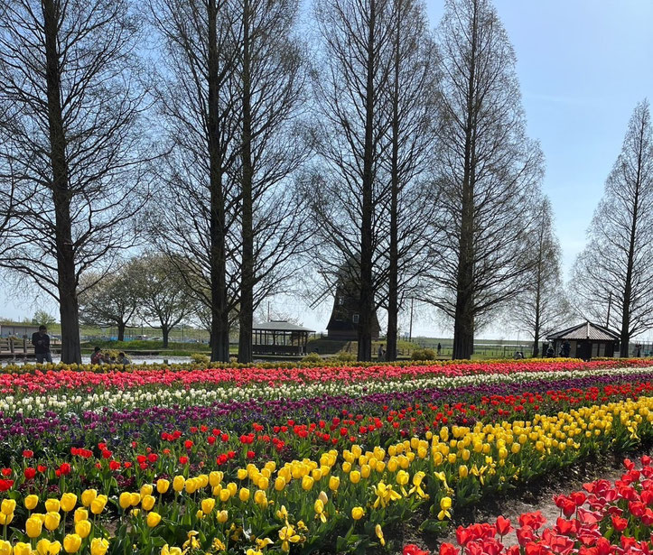 柏市あけぼの山公園