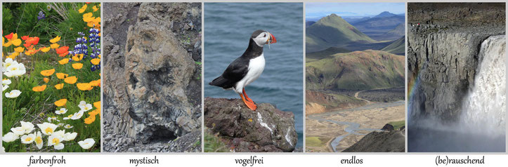 farbenfroh | mystisch | vogelfrei | endlos | (be)rauschend