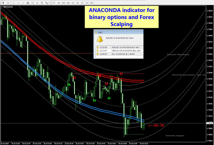 Anaconda Binary Options and Forex Scalping