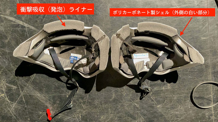 実際の自転車用ヘルメットの断面（SGマーク認証品）