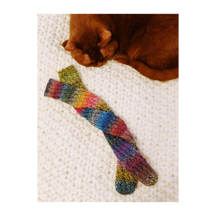 Sir Henry und ein fertiges Paar Spiralsocken