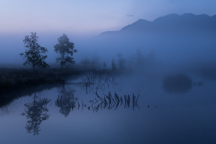 Nebelmorgen, 8. Platz Kategorie Landschaften