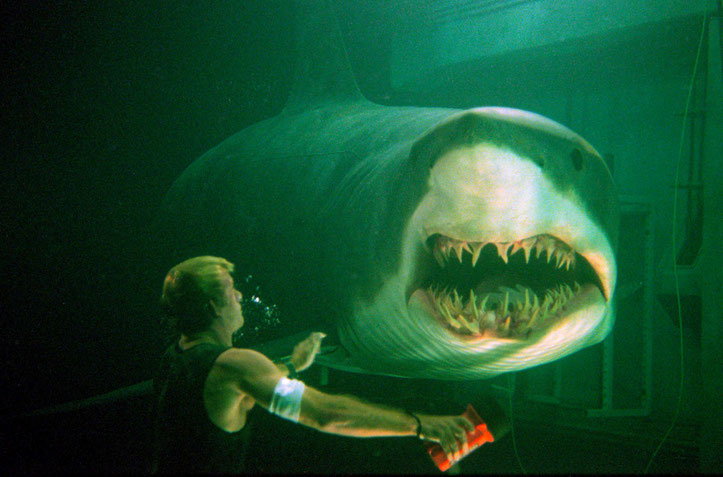 © 1999 Village Roadshow Films (BVI)Limited