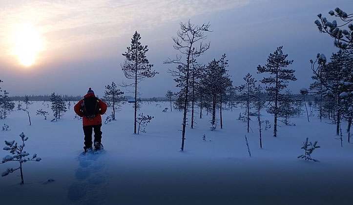 Picture: Polarguide and Logistics