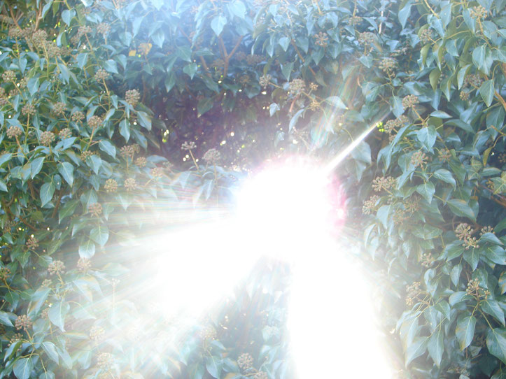 Reines, weißes Licht aus der Schöpferquelle, das alle Farben enthält (Aufnahme des hinunterströmenden Himmelslichtes auf die Erde = wie oben - so unten)
