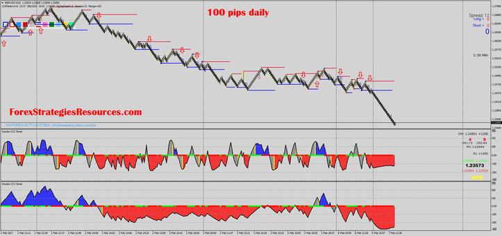 100 pips daily with renko chart and two CCI