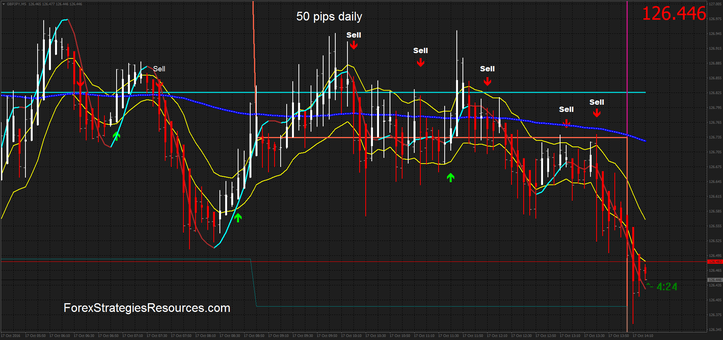 50 pips daily scalping