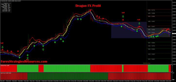 Dragon FX Profit