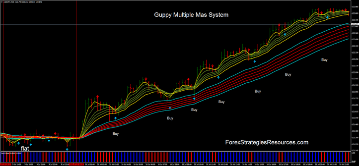 Guppy Multiple Mas System 