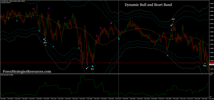 Dynamic Bull and Bear Band