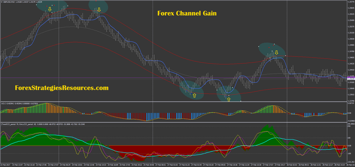 Forex Channel Gain with renko chart