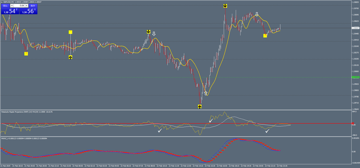 Projections  Future Forex System